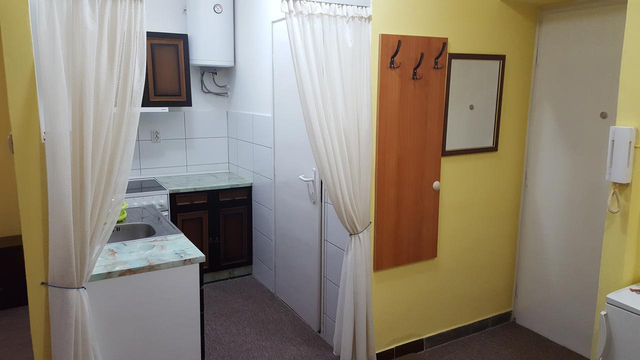 Apartment Roxana Centar Novi Sad Exteriör bild